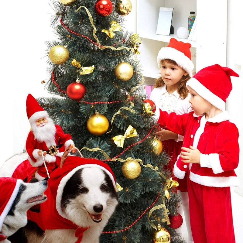 Dog Santa Riding Outfit