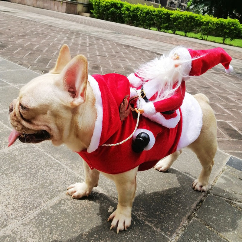 Dog Santa Riding Outfit