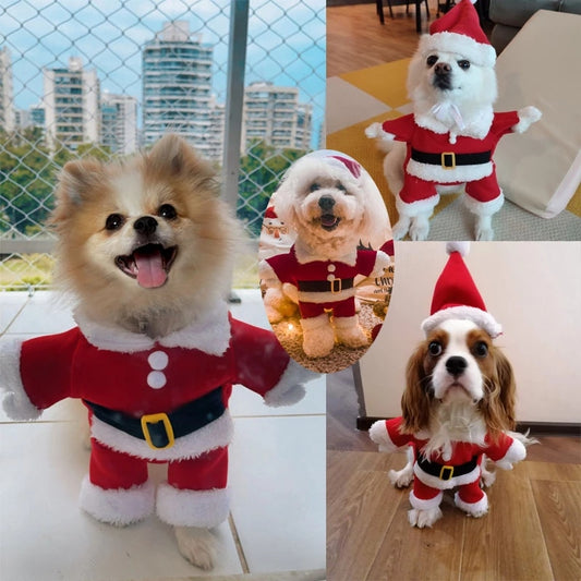 Dog Santa Claus Costume